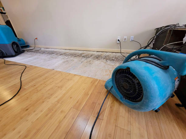 Professional Ceiling Water Damage Repair technician working in Gulf, NC